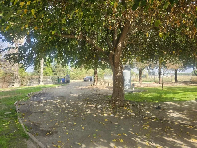 a view of outdoor space with trees
