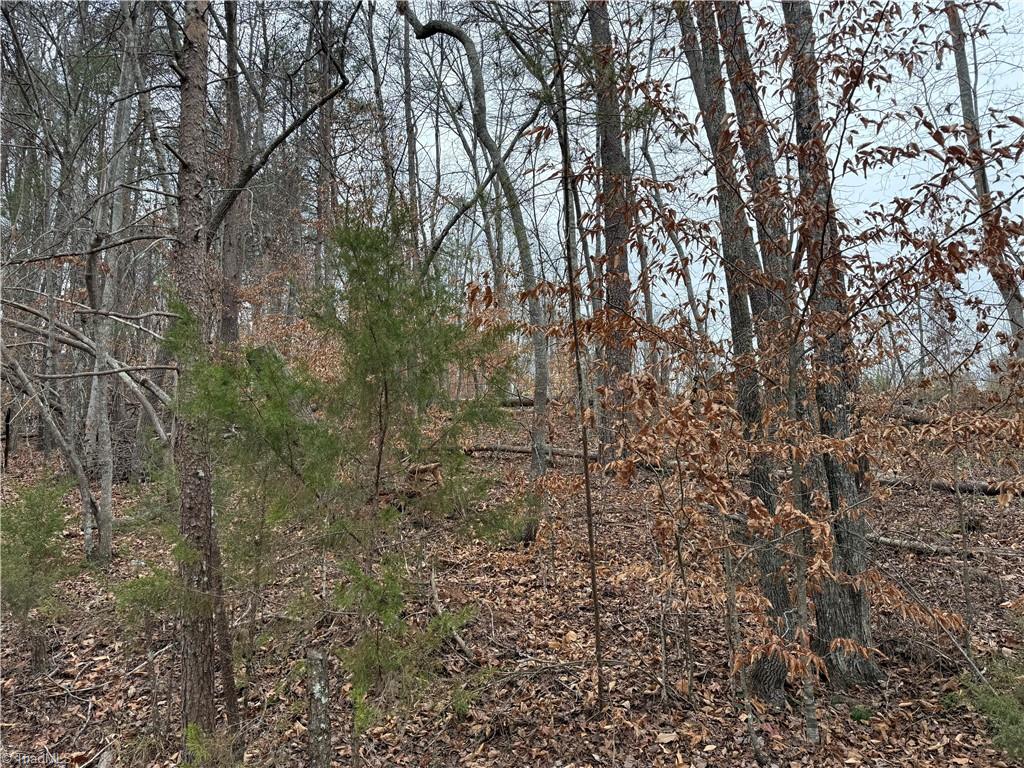 Lot 40 Creekside Way Road Pinnacle, NC 27043 - Photo 2 of 7