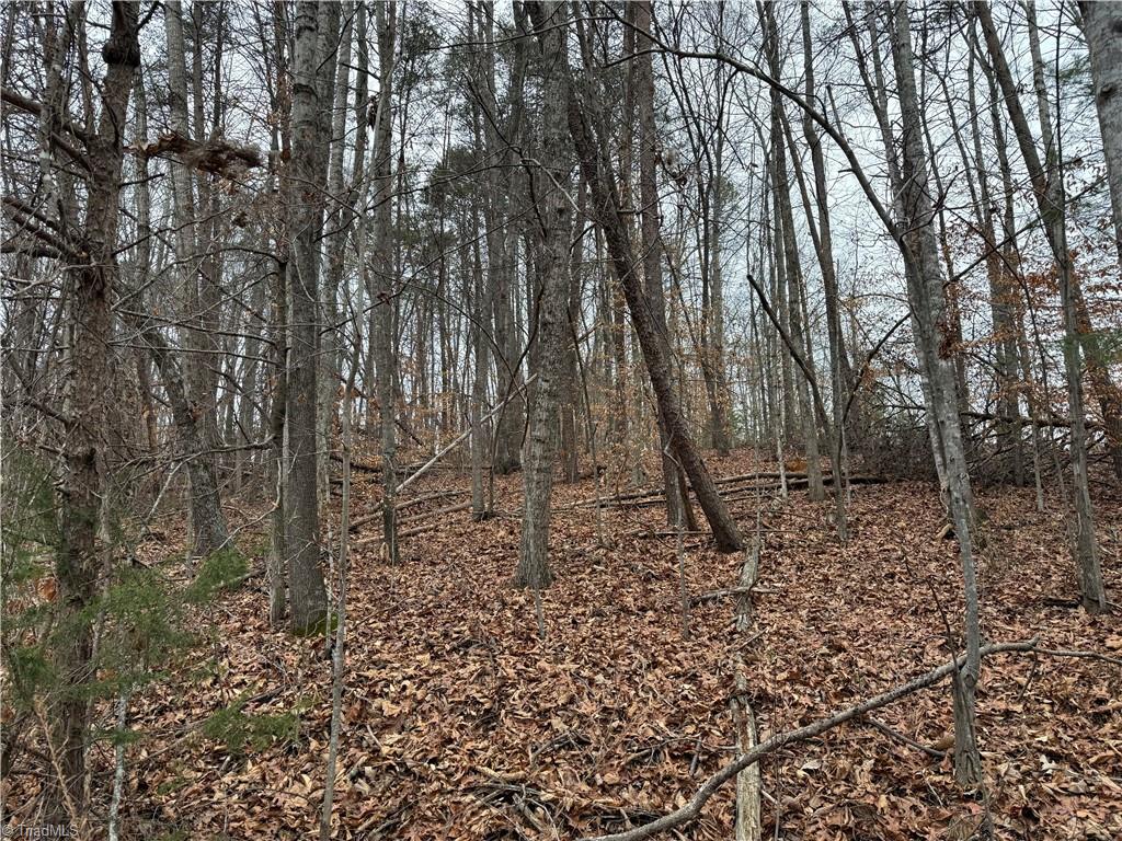 Lot 40 Creekside Way Road Pinnacle, NC 27043 - Photo 3 of 7