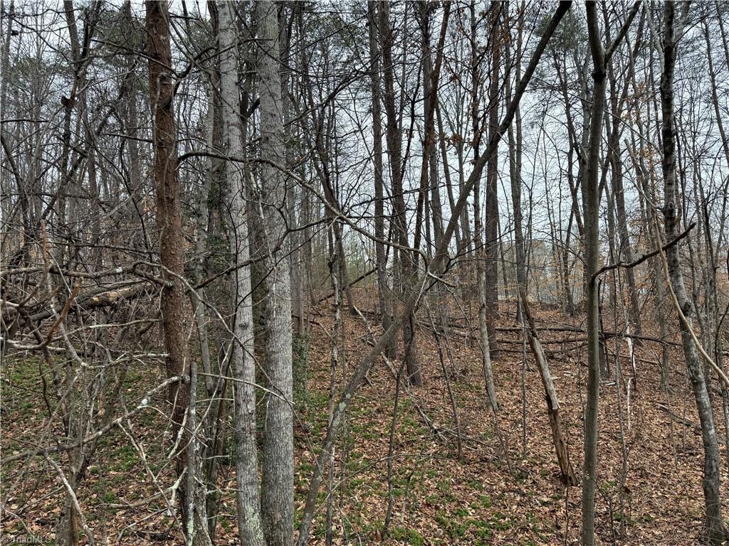 Lot 40 Creekside Way Road Pinnacle, NC 27043 - Photo 4 of 7