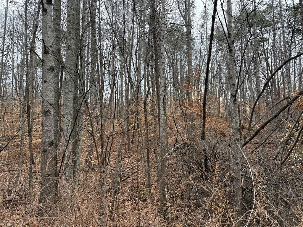 Lot 40 Creekside Way Road Pinnacle, NC 27043 - Photo 5 of 7