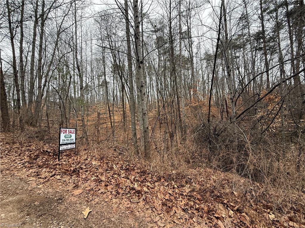 Lot 40 Creekside Way Road Pinnacle, NC 27043 - Photo 6 of 7