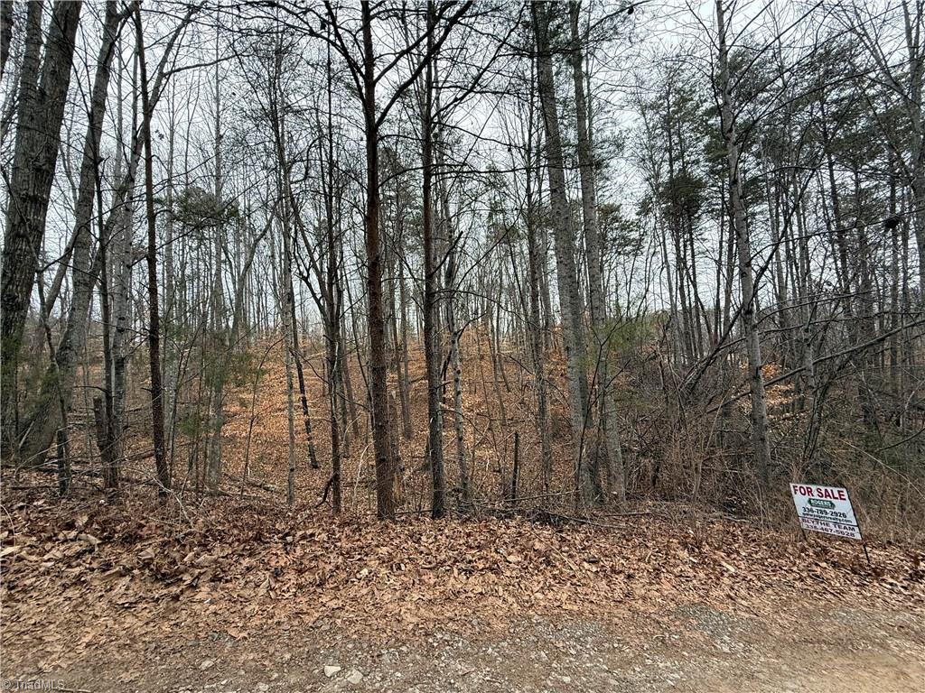 Lot 40 Creekside Way Road Pinnacle, NC 27043 - Photo 7 of 7