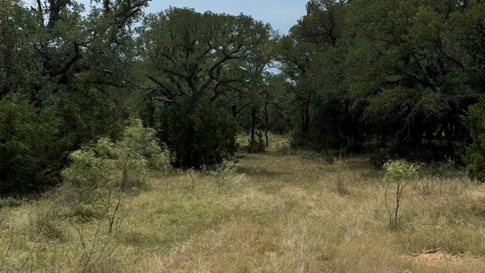 159 Mormon Creek Road Doss, TX 78618 - Photo 12 of 29