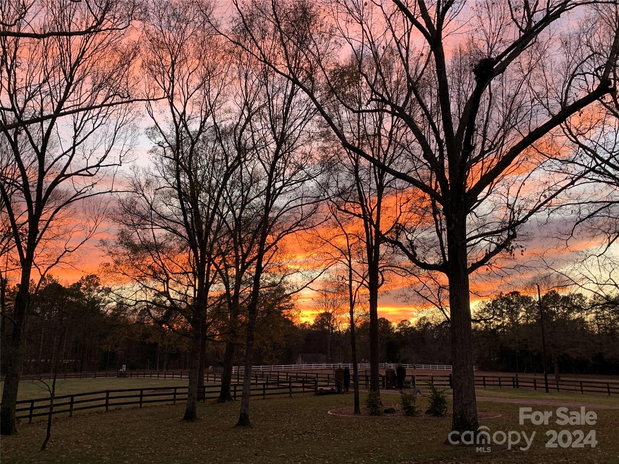 1268 Cedar Pine Lake Road Lancaster, SC 29720 - Photo 6 of 48 Gallery Image 6
