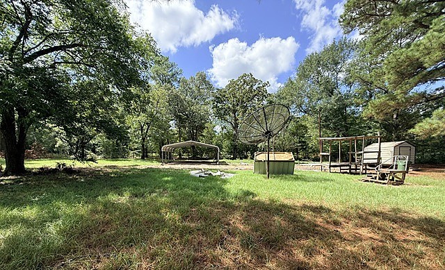 58 Roy Webb Road Huntsville, TX 77320 - Photo 25 of 31 This is a view from the back yard looking toward Roy Webb Rd.