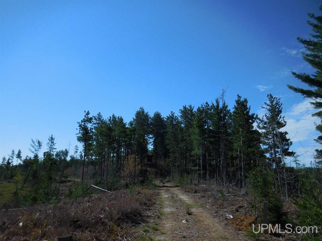 1480 Acres On Co Road Manistique, MI 49854 - Photo 28 of 49