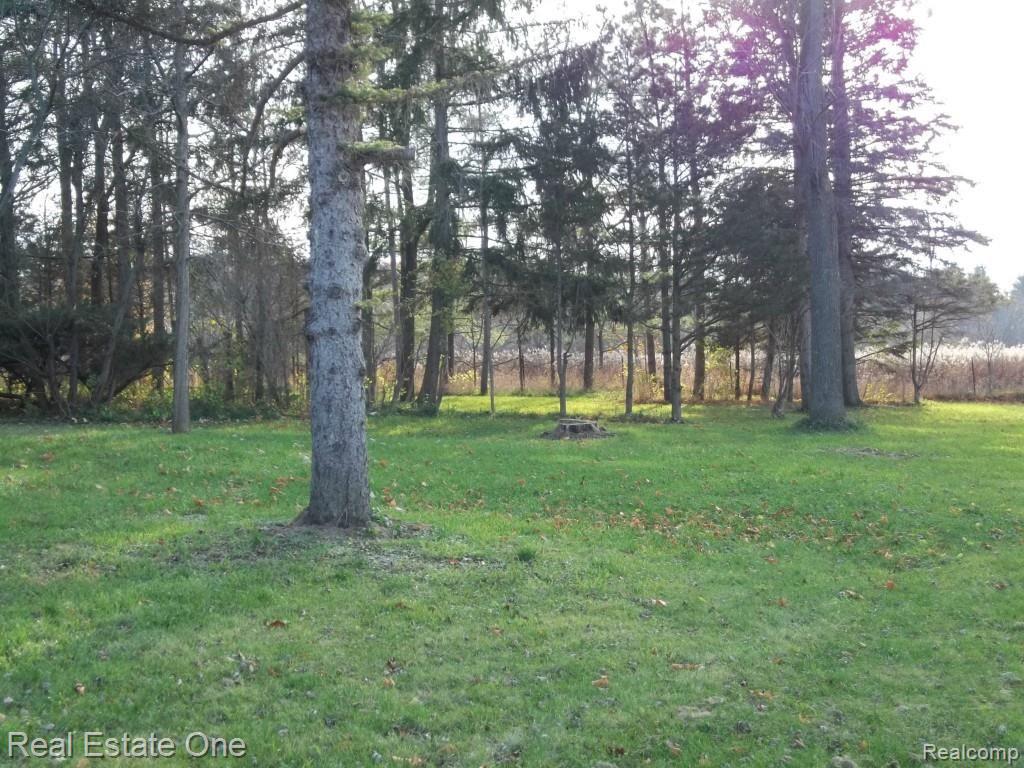 4891 Genesee Road Lapeer, MI 48446 - Photo 17 of 34 WEST LAWN.jpg