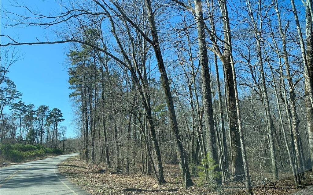 1 Roscoe Collette Road Dawsonville, GA 30534 - Photo 1 of 1 Main View