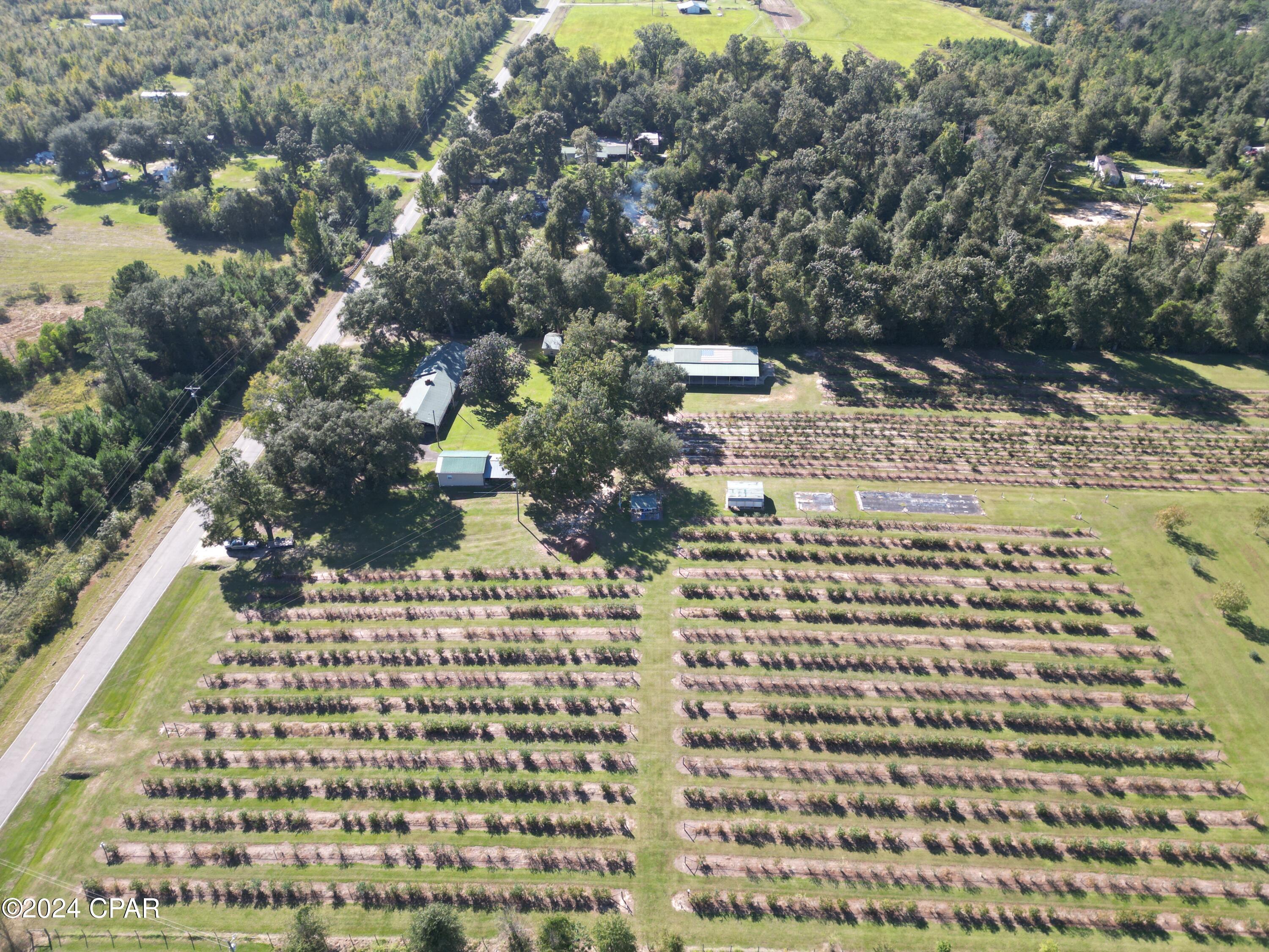 7772 Howell Road Sneads, FL 32460 - Photo 6 of 45 Gallery Image 6
