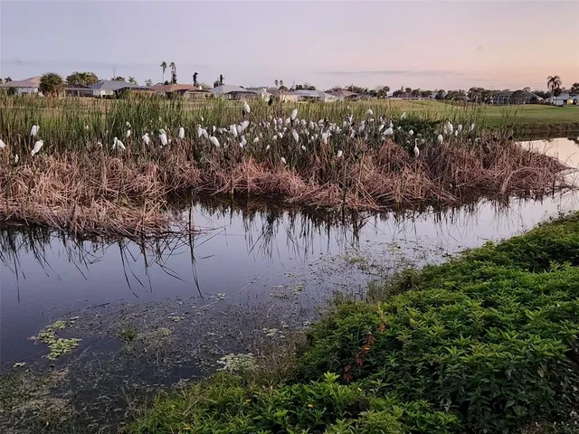 a front view of house with yard and trees in the background