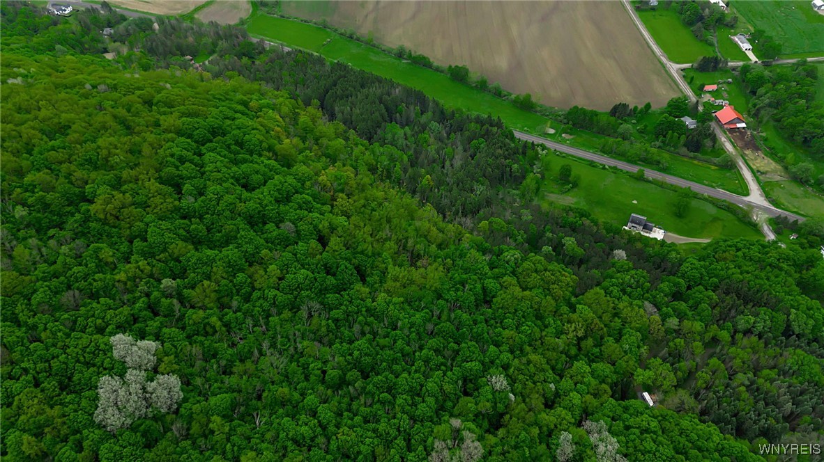 Vl Maples Road Little Valley, NY 14755 - Photo 10 of 12
