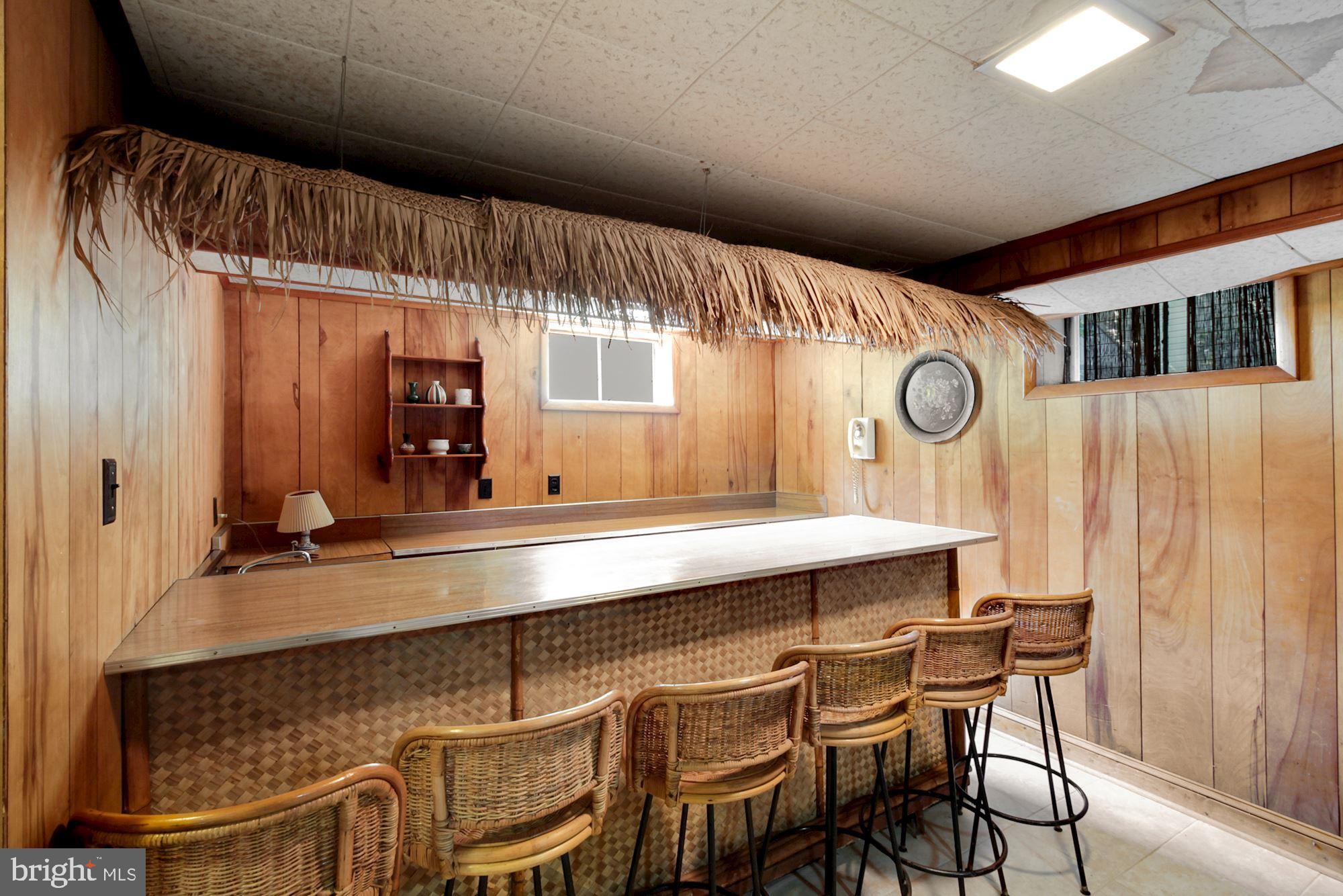 1818 Arcola Avenue Silver Spring, MD 20902 - Photo 31 of 38 Tiki Bar!