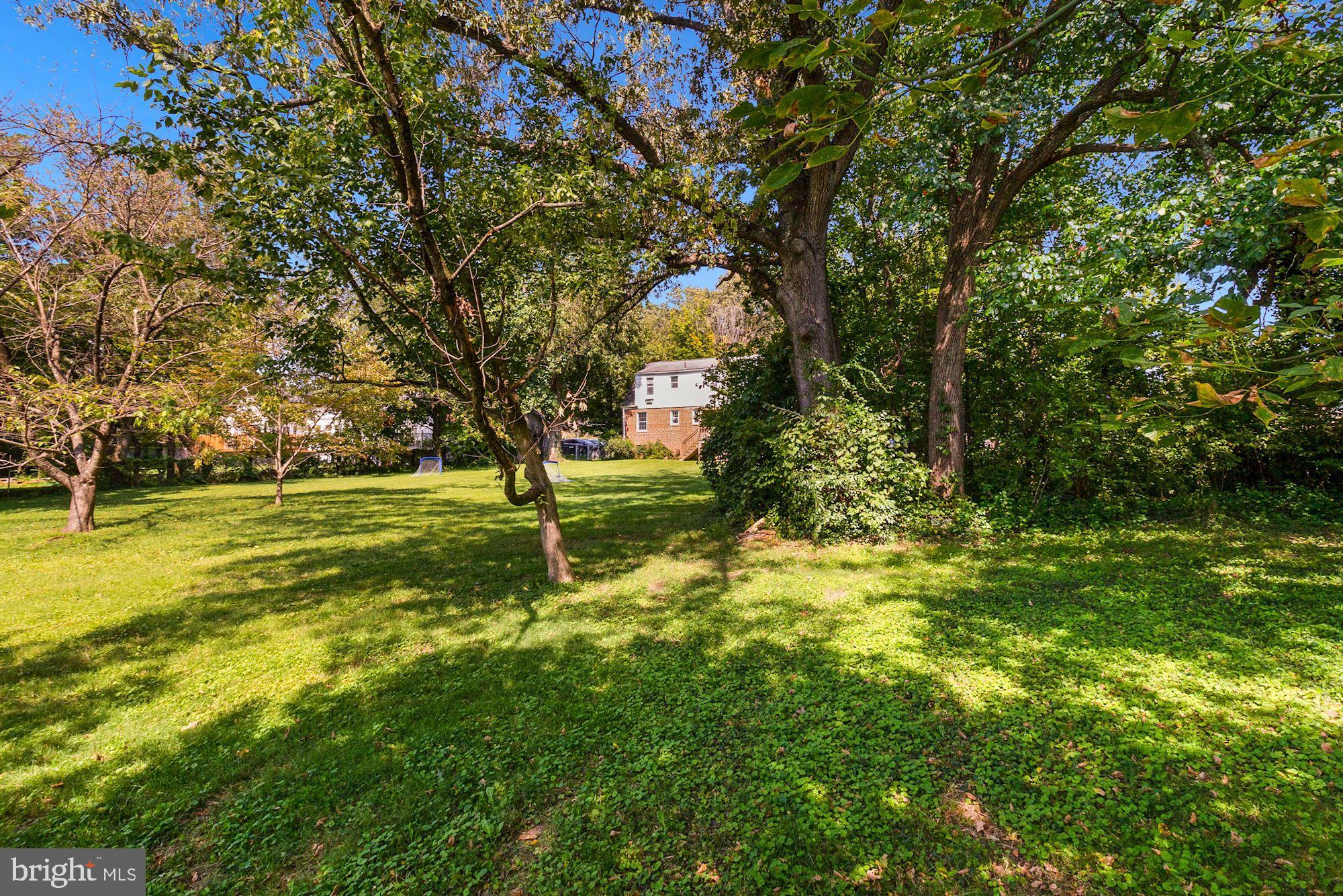 1818 Arcola Avenue Silver Spring, MD 20902 - Photo 5 of 38 view of house from backyard