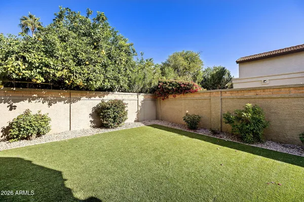 a view of a garden with a bench in back yard