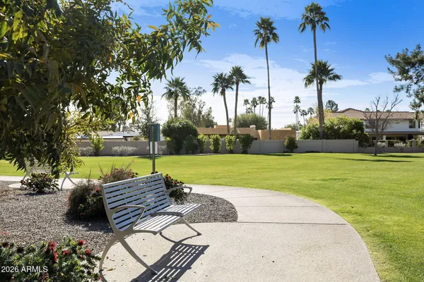 a view of a yard with plants and trees