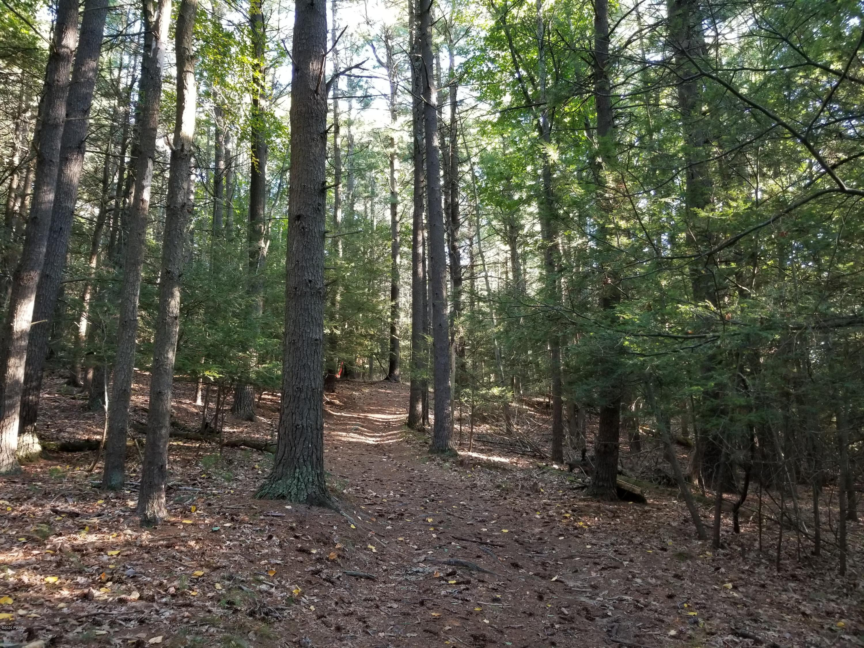 Coutts Point Drive Paupack, PA 18451 - Photo 22 of 22