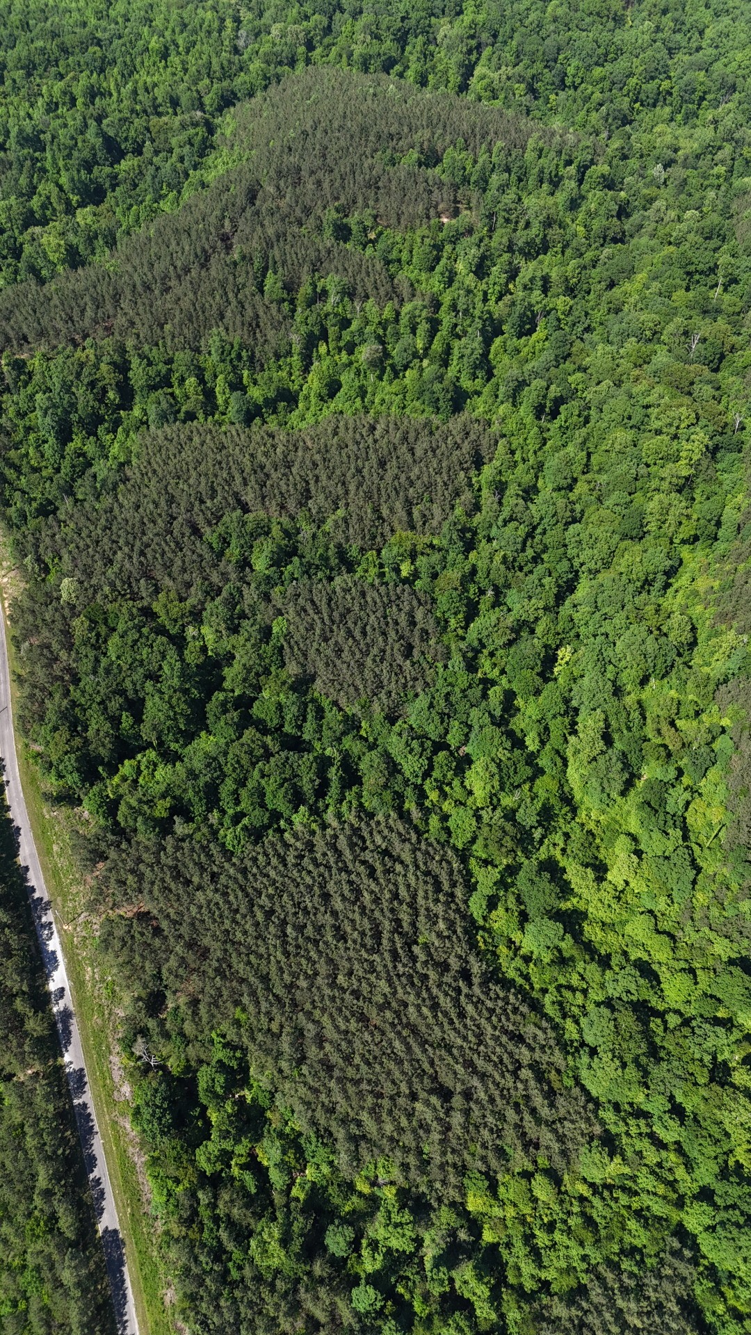 3149 Mcgee Road Linden, TN 37096 - Photo 2 of 18 a view of a lush green field
