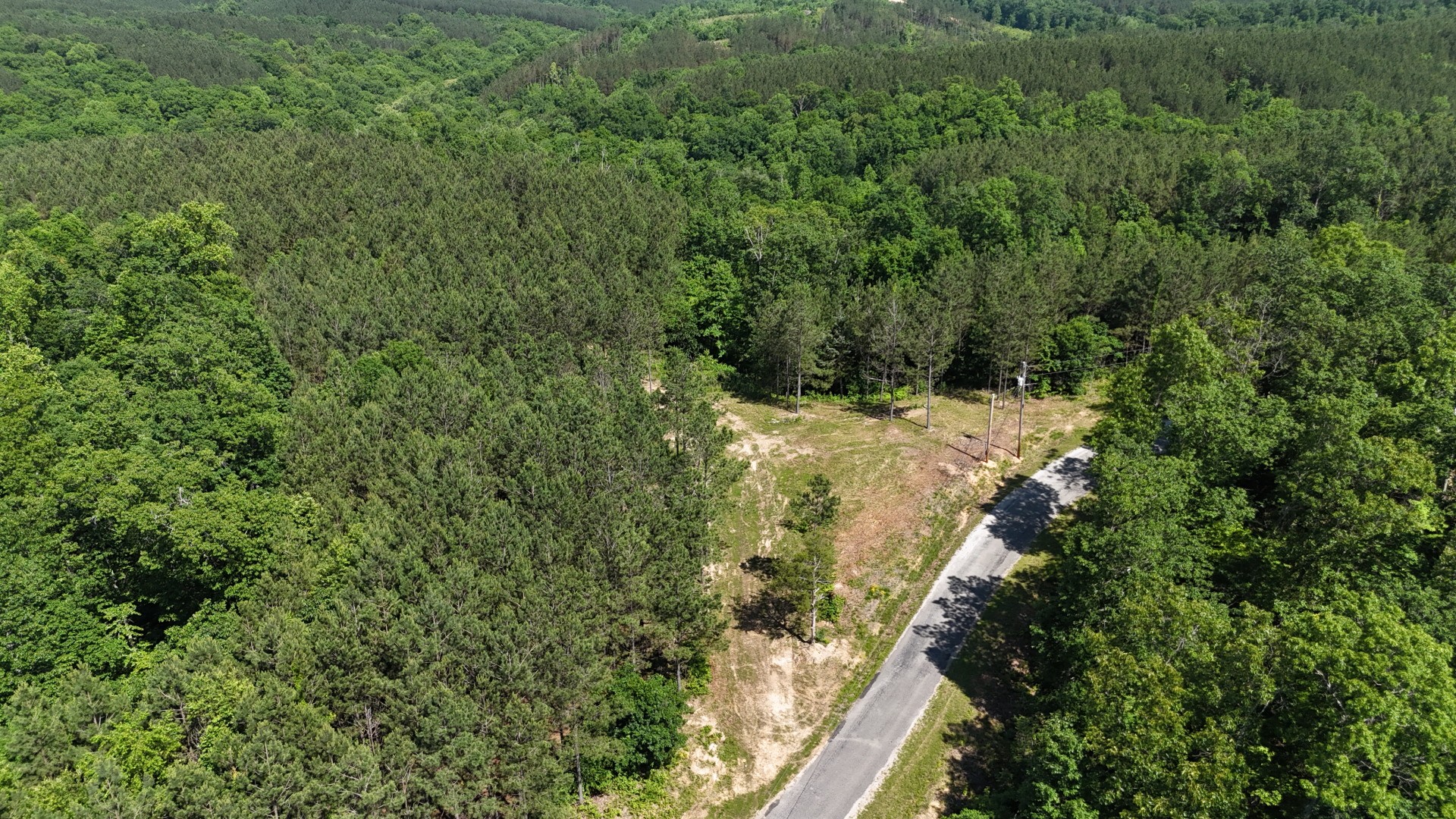 3149 Mcgee Road Linden, TN 37096 - Photo 4 of 18 a view of a forest with a tree