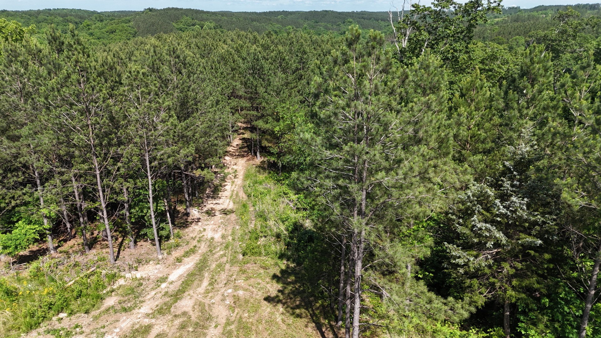 3149 Mcgee Road Linden, TN 37096 - Photo 5 of 18 a view of outdoor space and mountain view