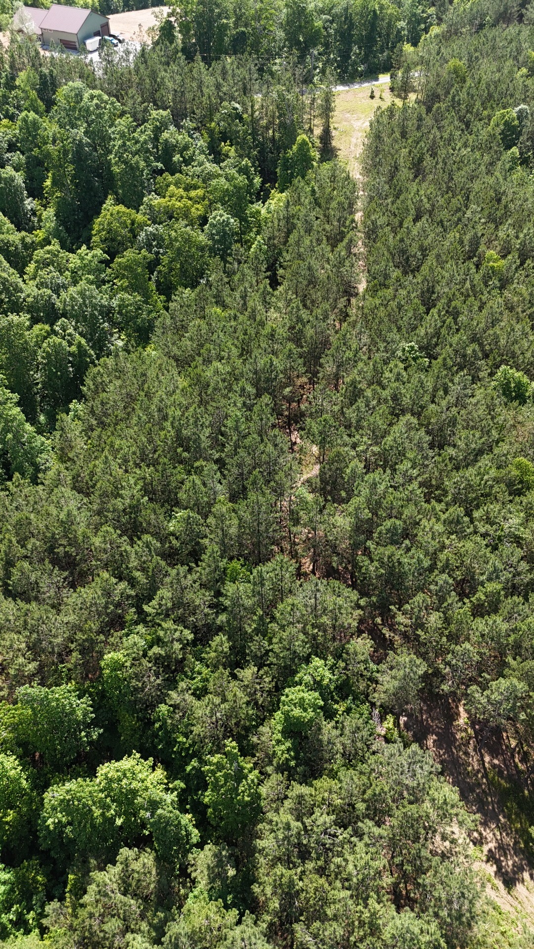3149 Mcgee Road Linden, TN 37096 - Photo 7 of 18 an aerial view of residential house with outdoor space and trees all around