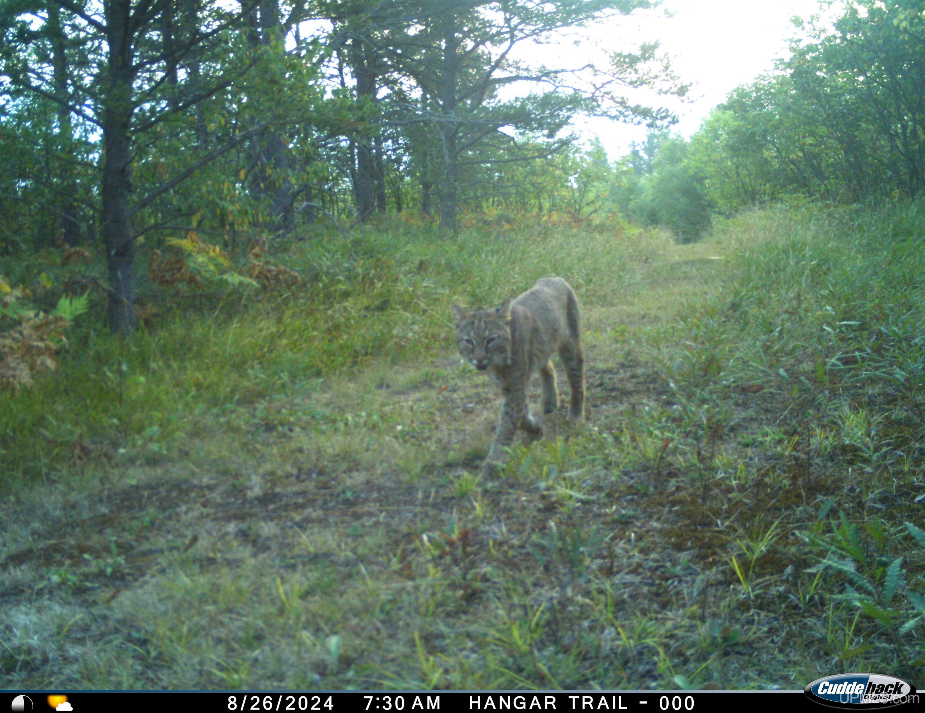 38140 County Road 581 Ishpeming, MI 49849 - Photo 54 of 58