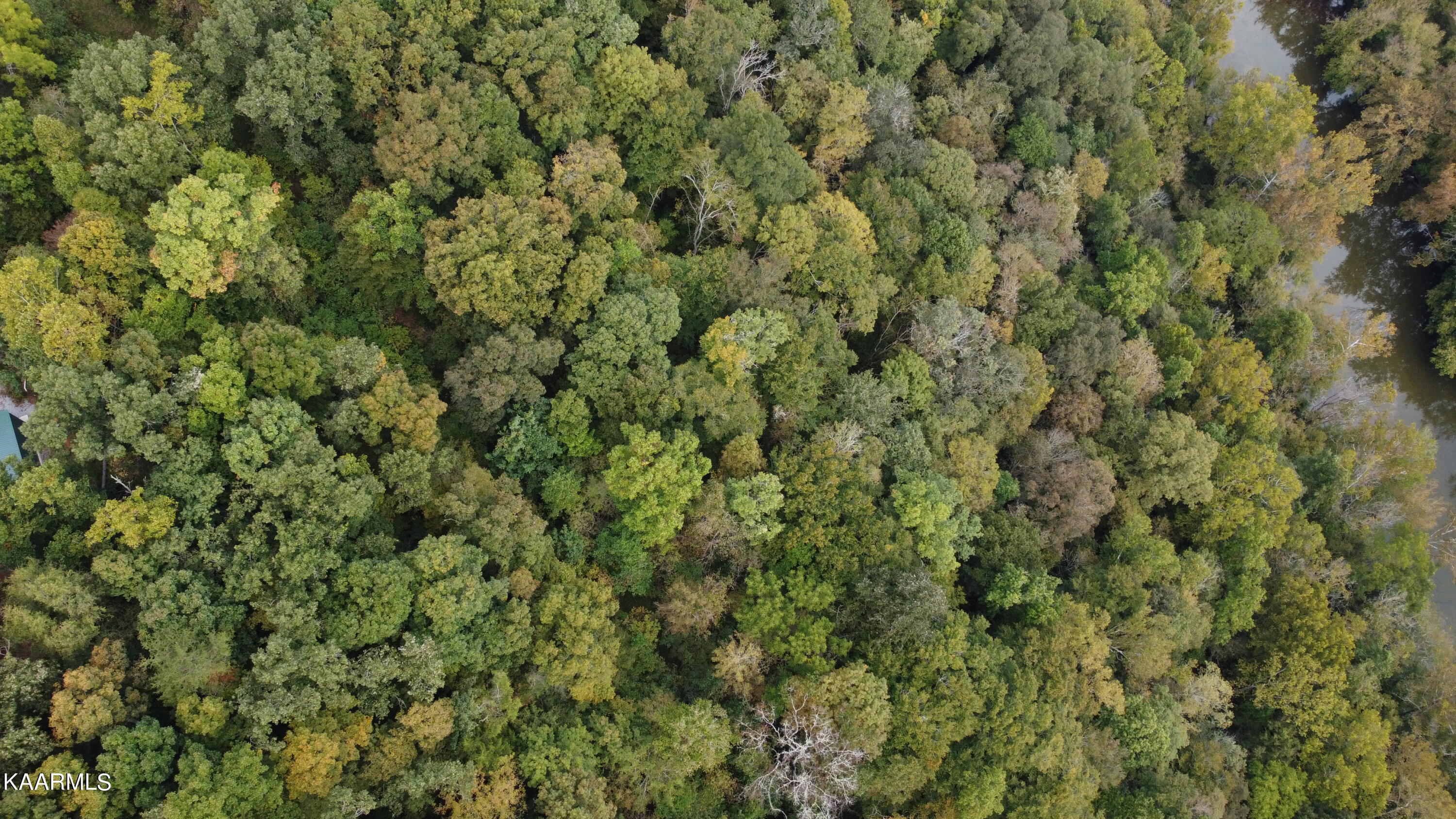 3500 Cave Springs Road Tazewell, TN 37879 - Photo 22 of 30 DJI_0520