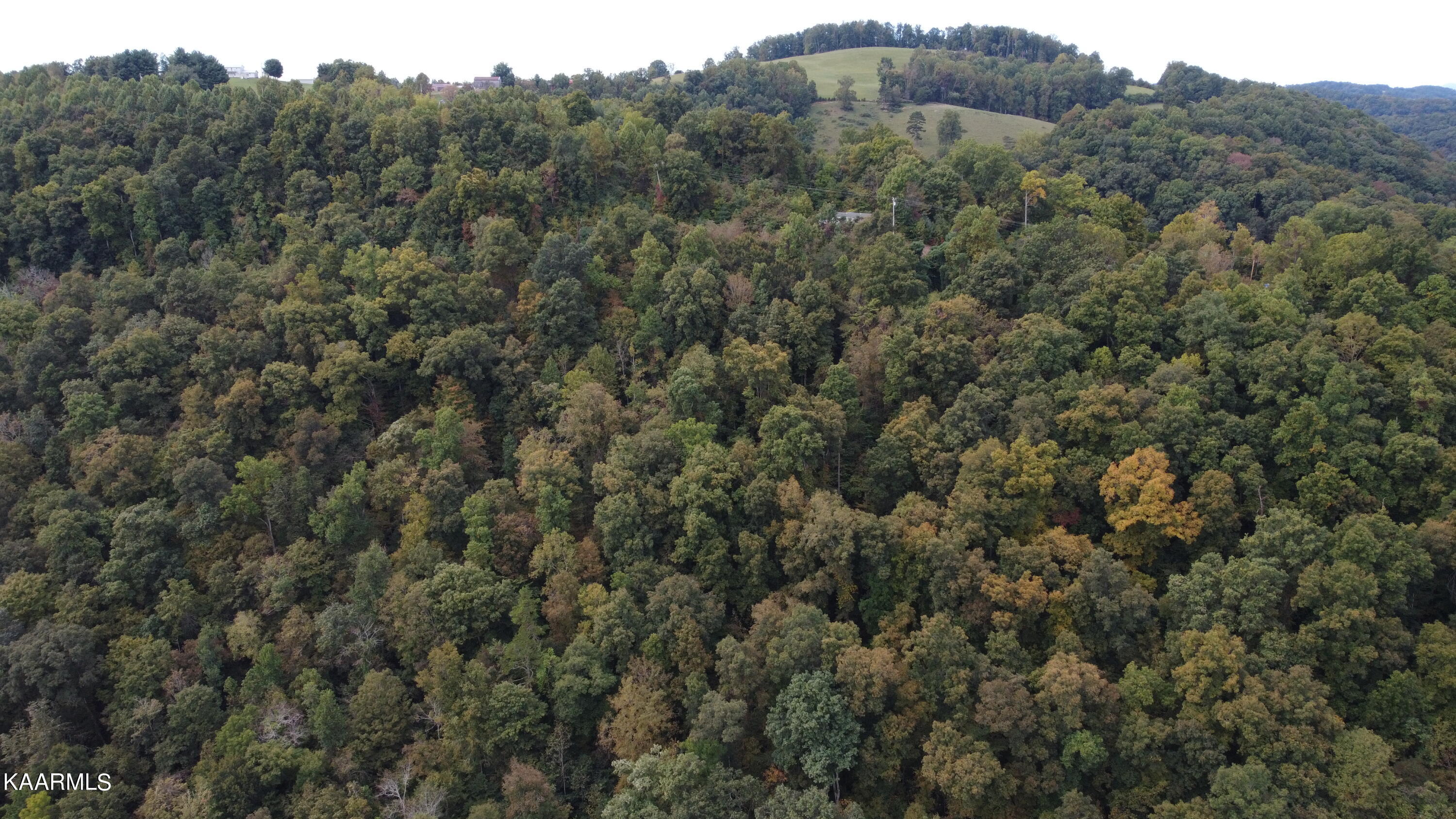 3500 Cave Springs Road Tazewell, TN 37879 - Photo 26 of 30 DJI_0528