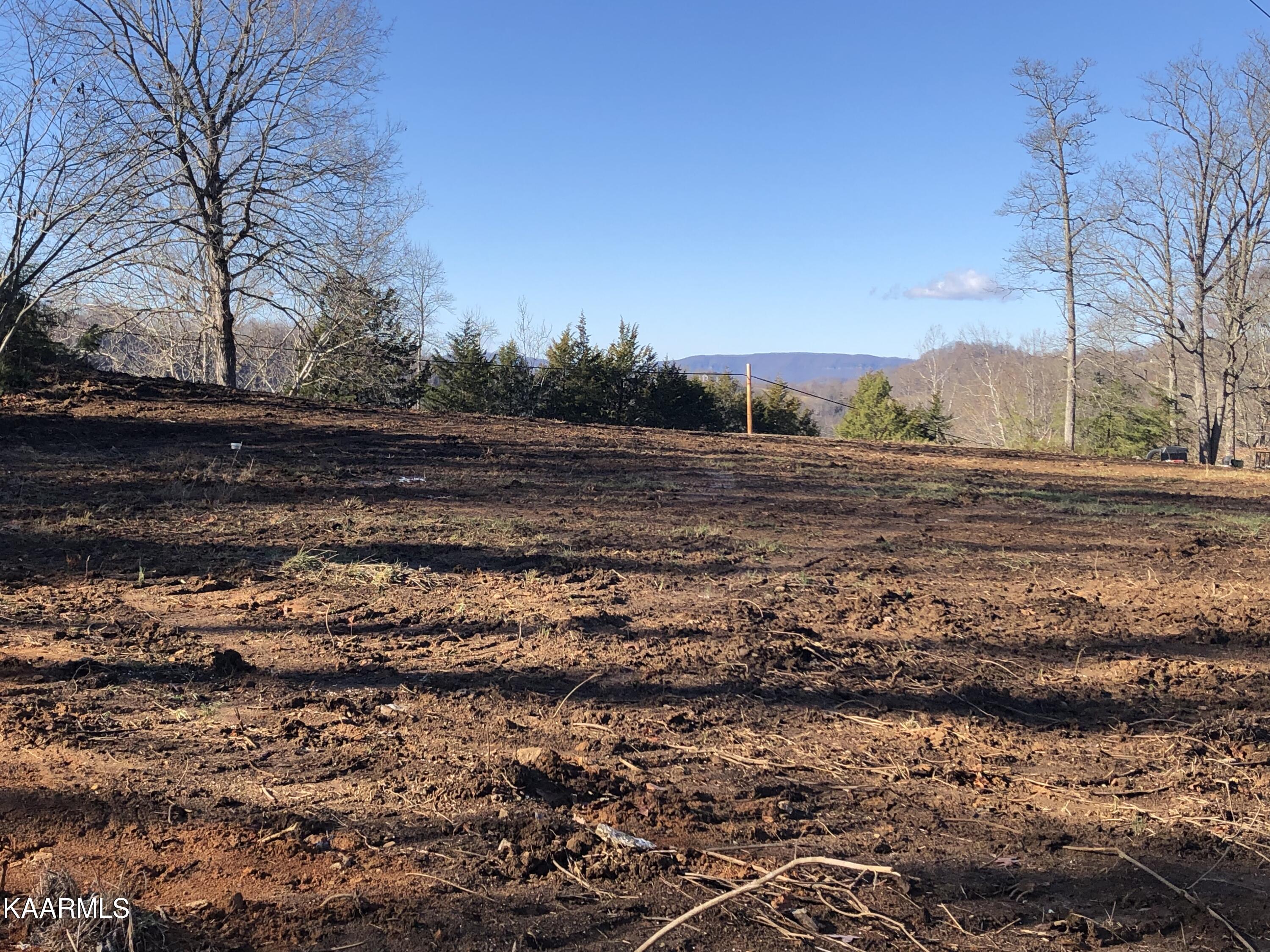 3500 Cave Springs Road Tazewell, TN 37879 - Photo 8 of 30 IMG-0741