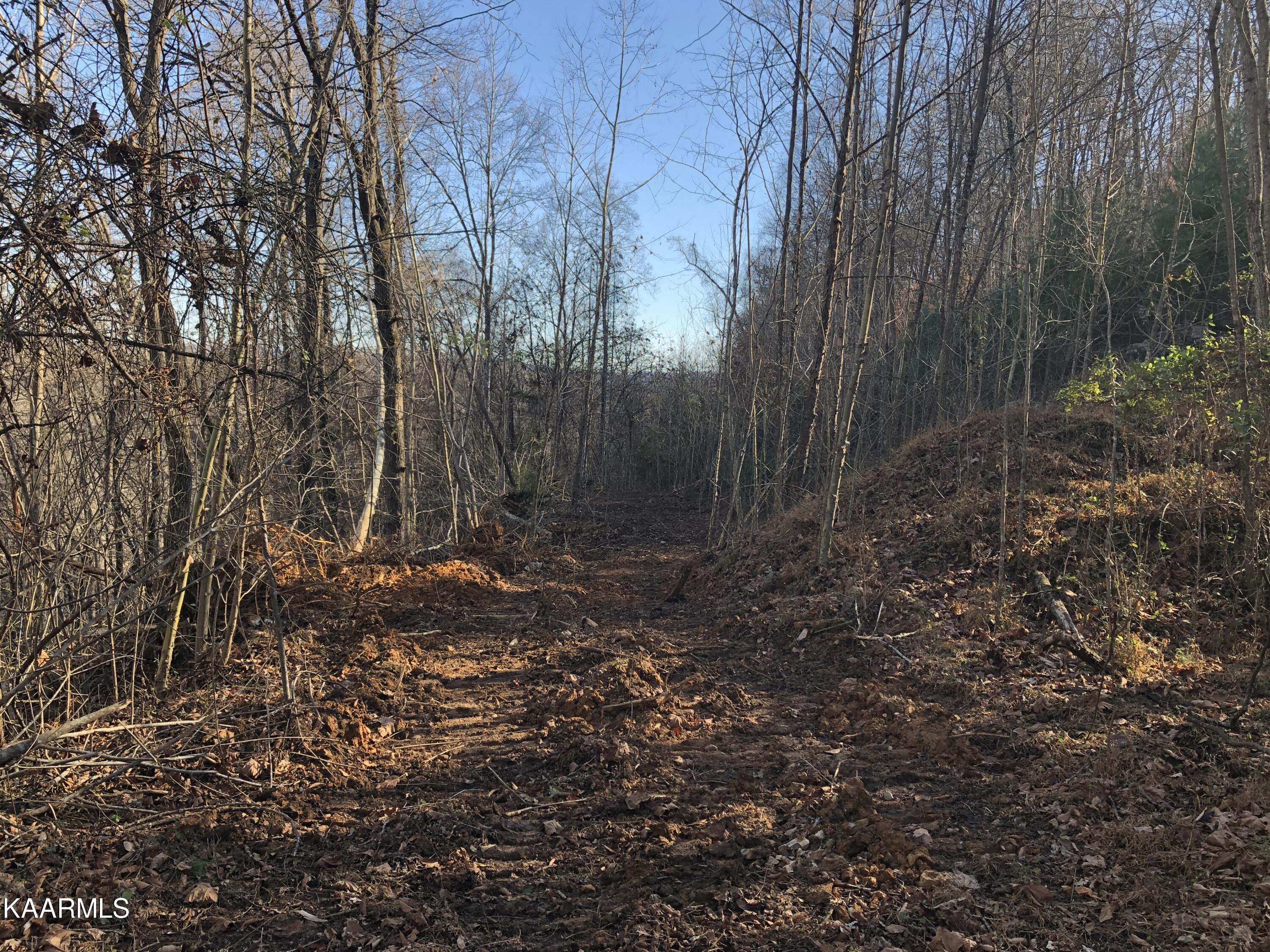 3500 Cave Springs Road Tazewell, TN 37879 - Photo 10 of 30 IMG-0743