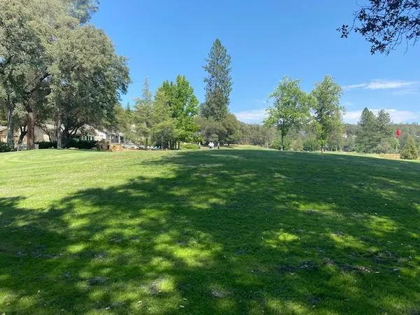 a yard with lots of green space
