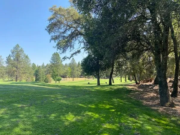 a view of grassy field with trees