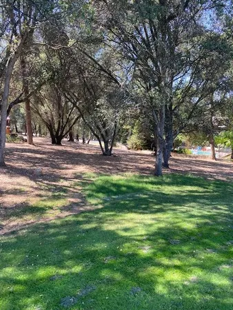 a view of yard with tree and green space