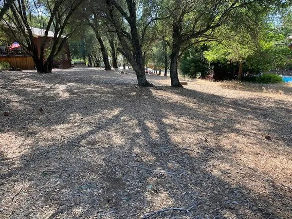 a view of a tree in a yard