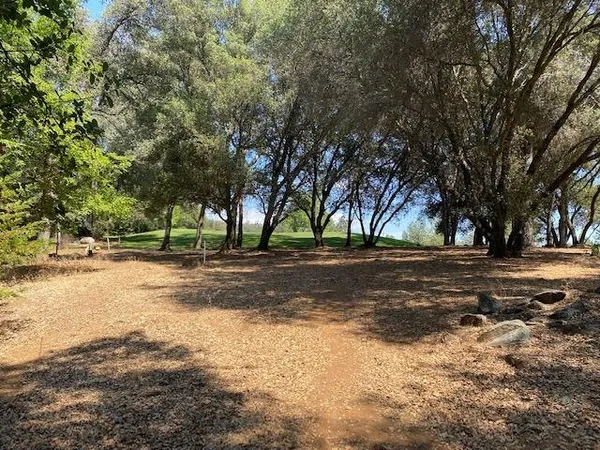 a view of road space with trees