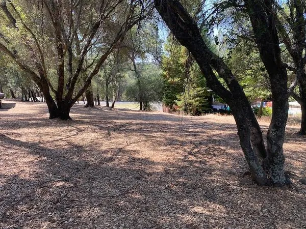 a view of empty space with large trees