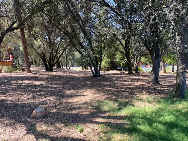 a view of road with trees