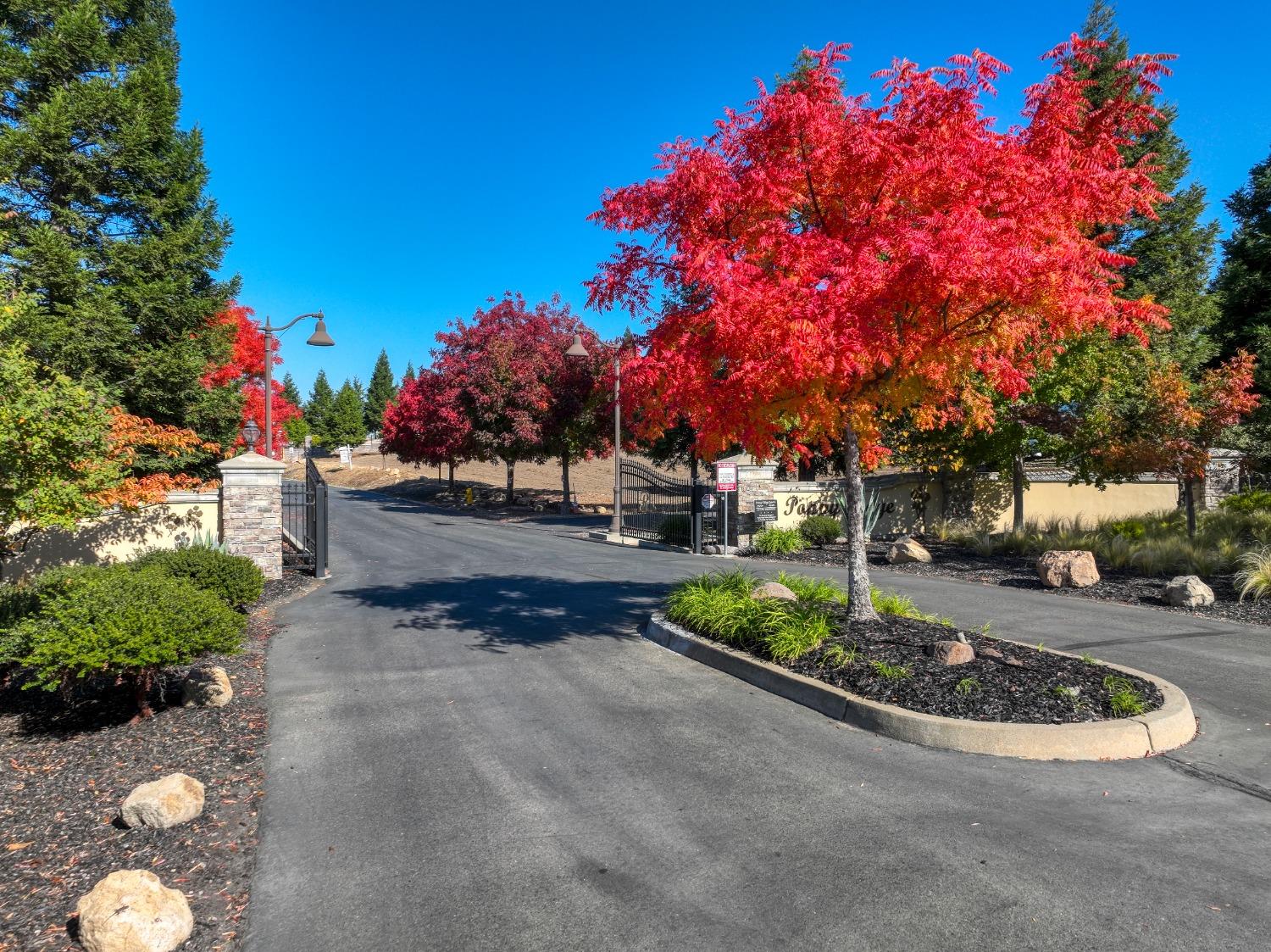 5355 Poppy Ridge Court Loomis, CA 95650 - Photo 3 of 19