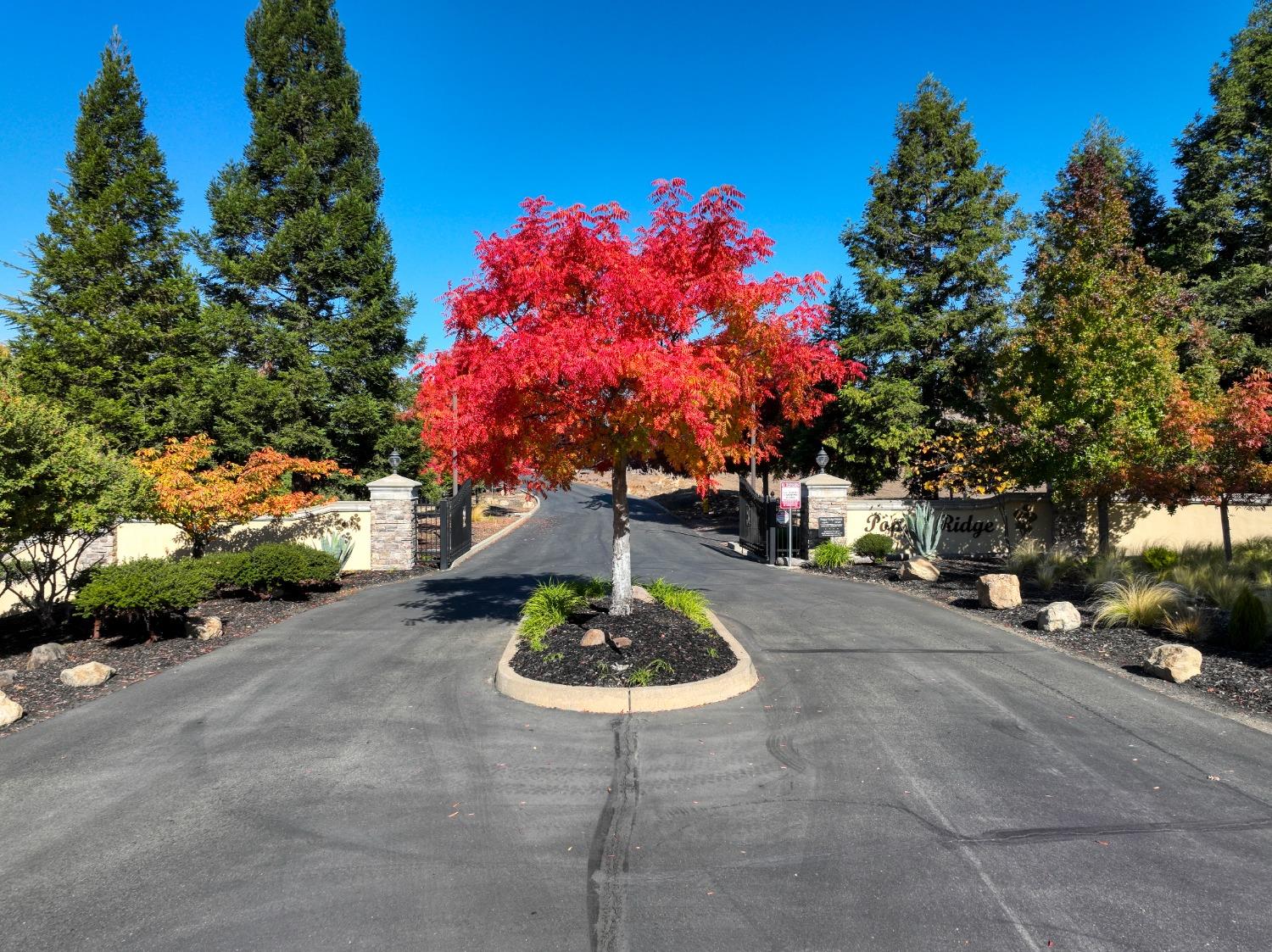 5355 Poppy Ridge Court Loomis, CA 95650 - Photo 4 of 19