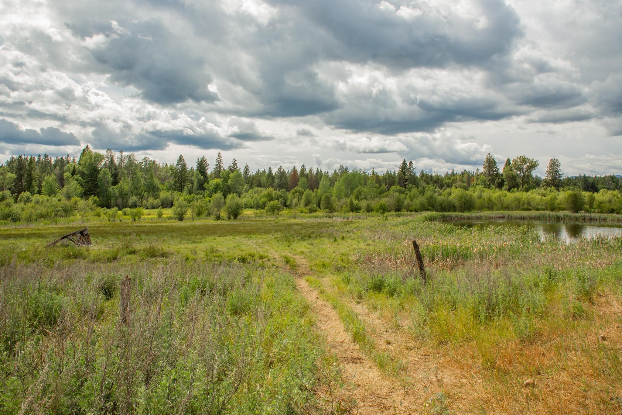 4110 Cemetery Tract Ab Road Springdale, WA 99173 - Photo 3 of 22