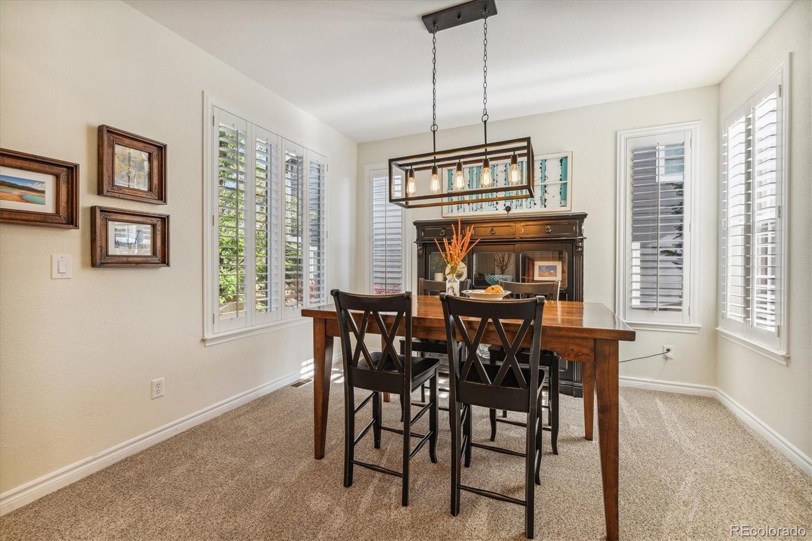 10885 Huntwick Street Highlands Ranch, CO 80130 - Photo 8 of 39 Gallery Image 8