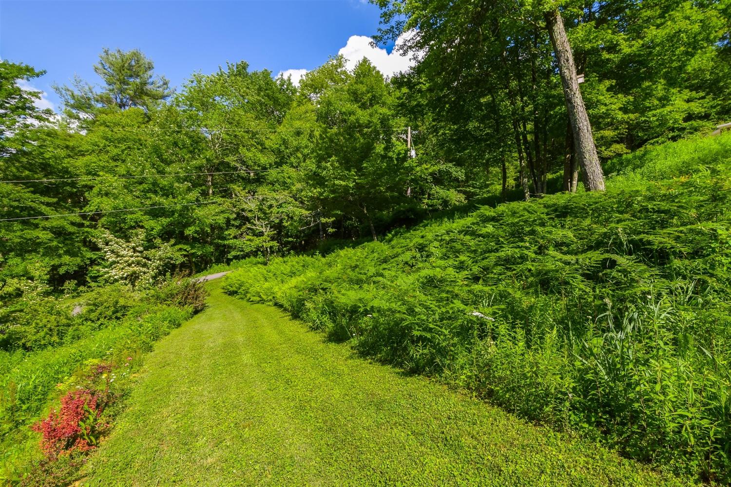 10229 Ivy Ridge Road Bent Mountain, VA 24059 - Photo 59 of 67 59-10229 Ivy Ridge-20