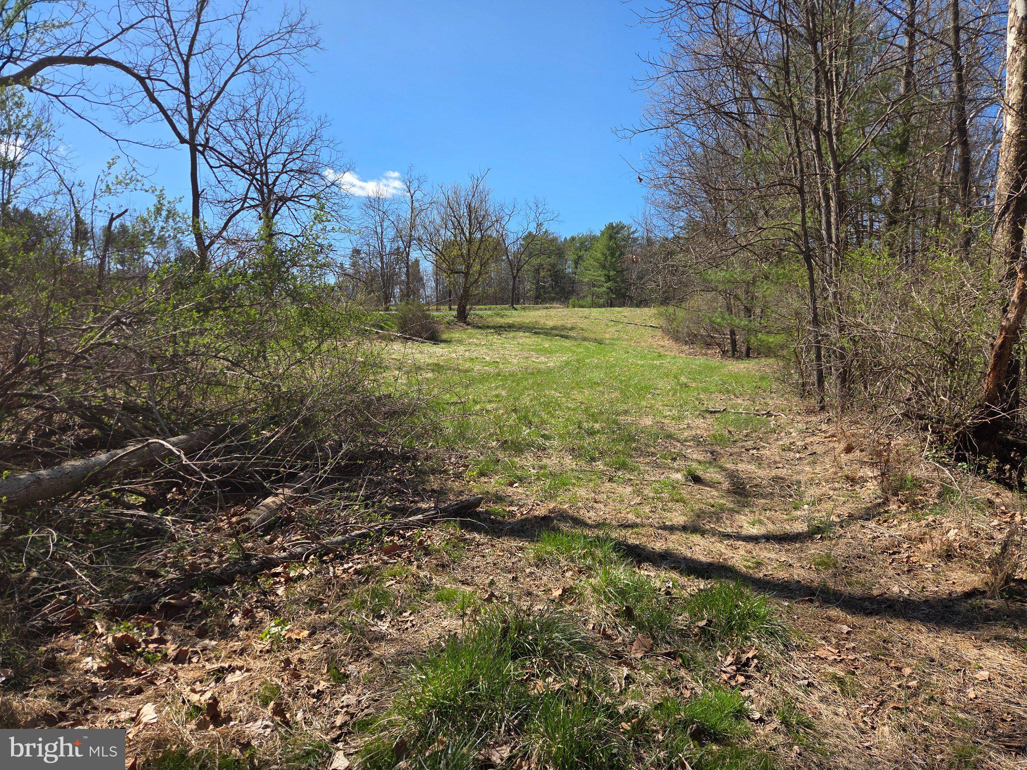 0 Cold Storage Road New Bloomfield, PA 17068 - Photo 30 of 31 a big yard with lots of green space