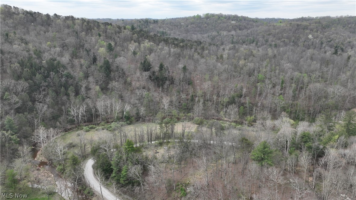 0 Sugar Creek Road Friendly, WV 26146 - Photo 2 of 11