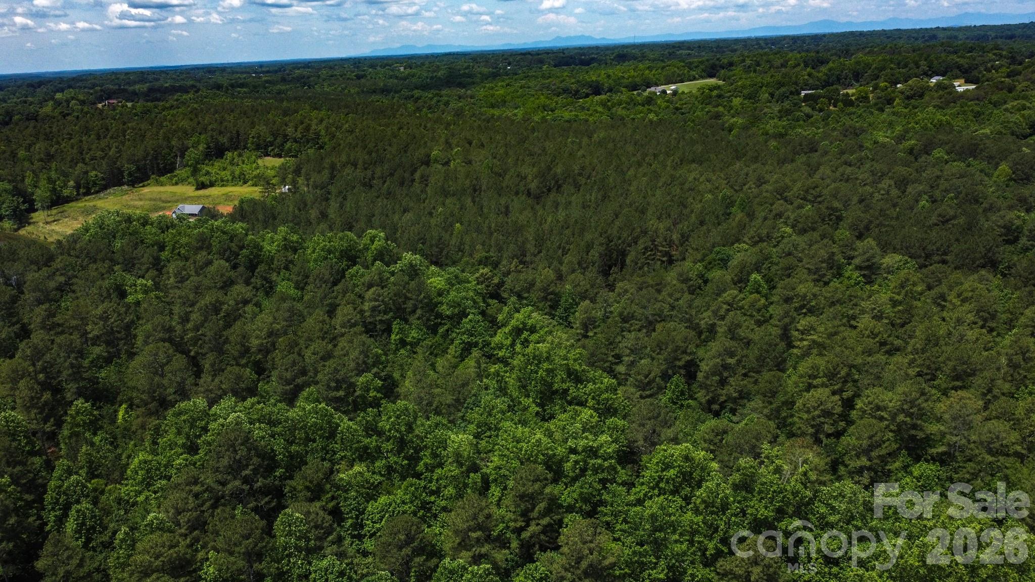 0 Mooresboro Road Mooresboro, NC 28114 - Photo 11 of 17 a view of a lush green forest with lots of trees