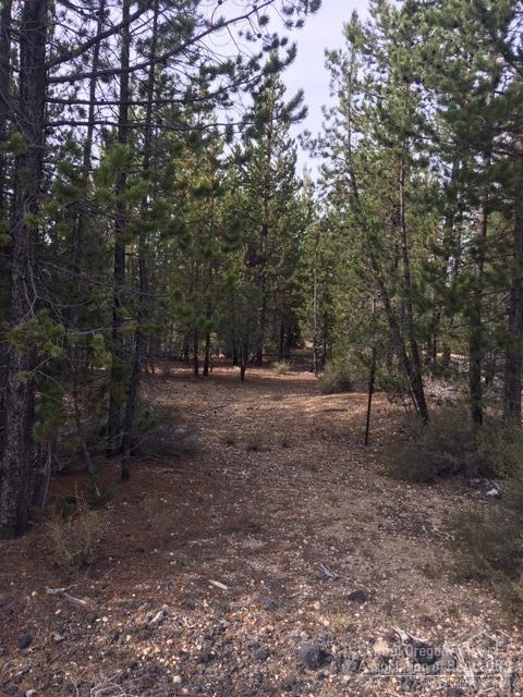 5 Surveyor Road Crescent Lake, OR 97733 - Photo 5 of 8 This picture is close to the beginning o