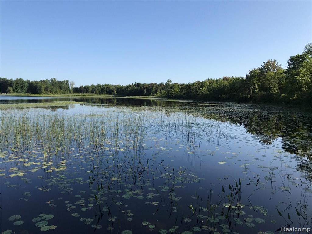 13725 Wilmore Road Stockbridge, MI 49285 - Photo 18 of 94