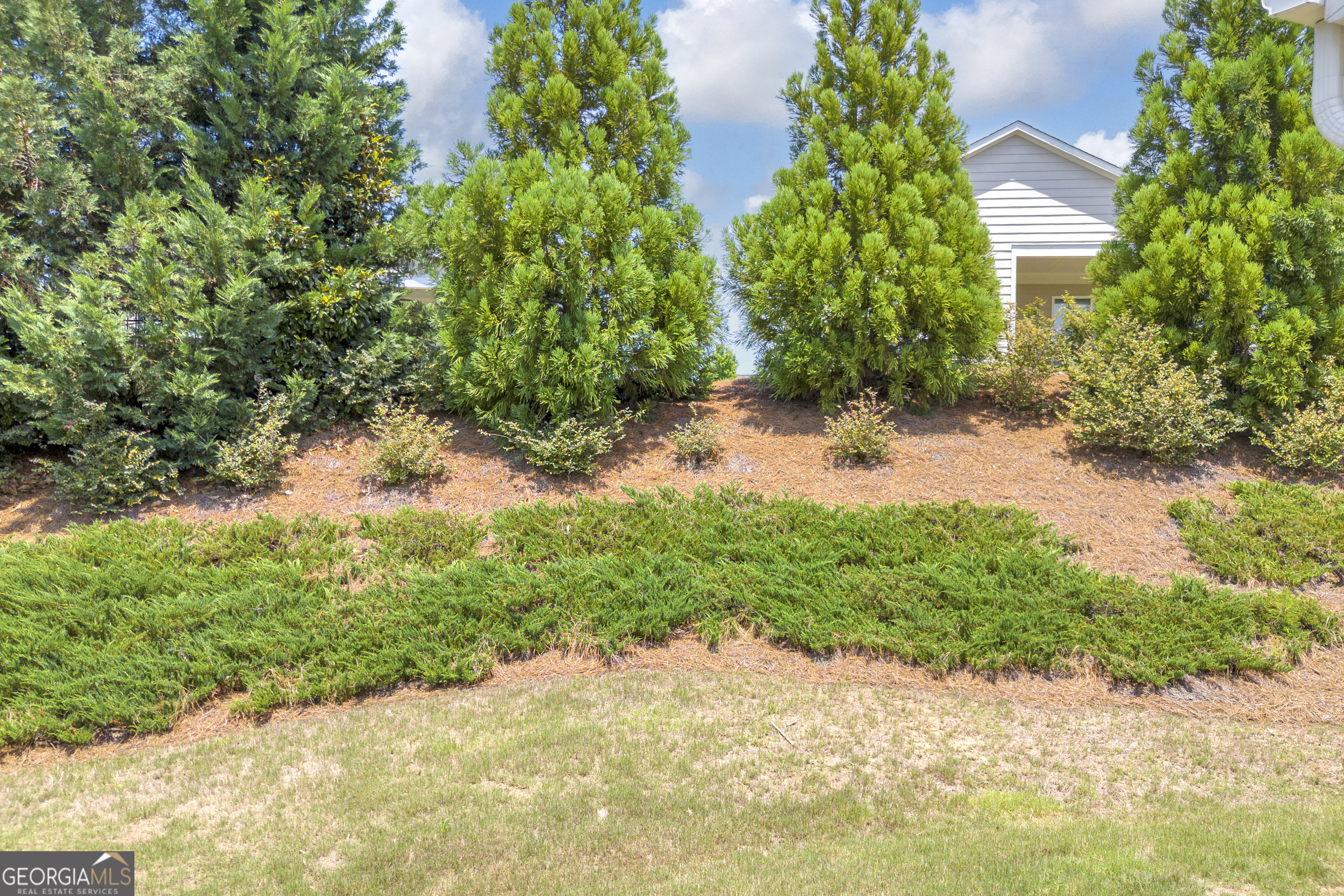 1010 Southern Pne Road Greensboro, GA 30642 - Photo 44 of 66