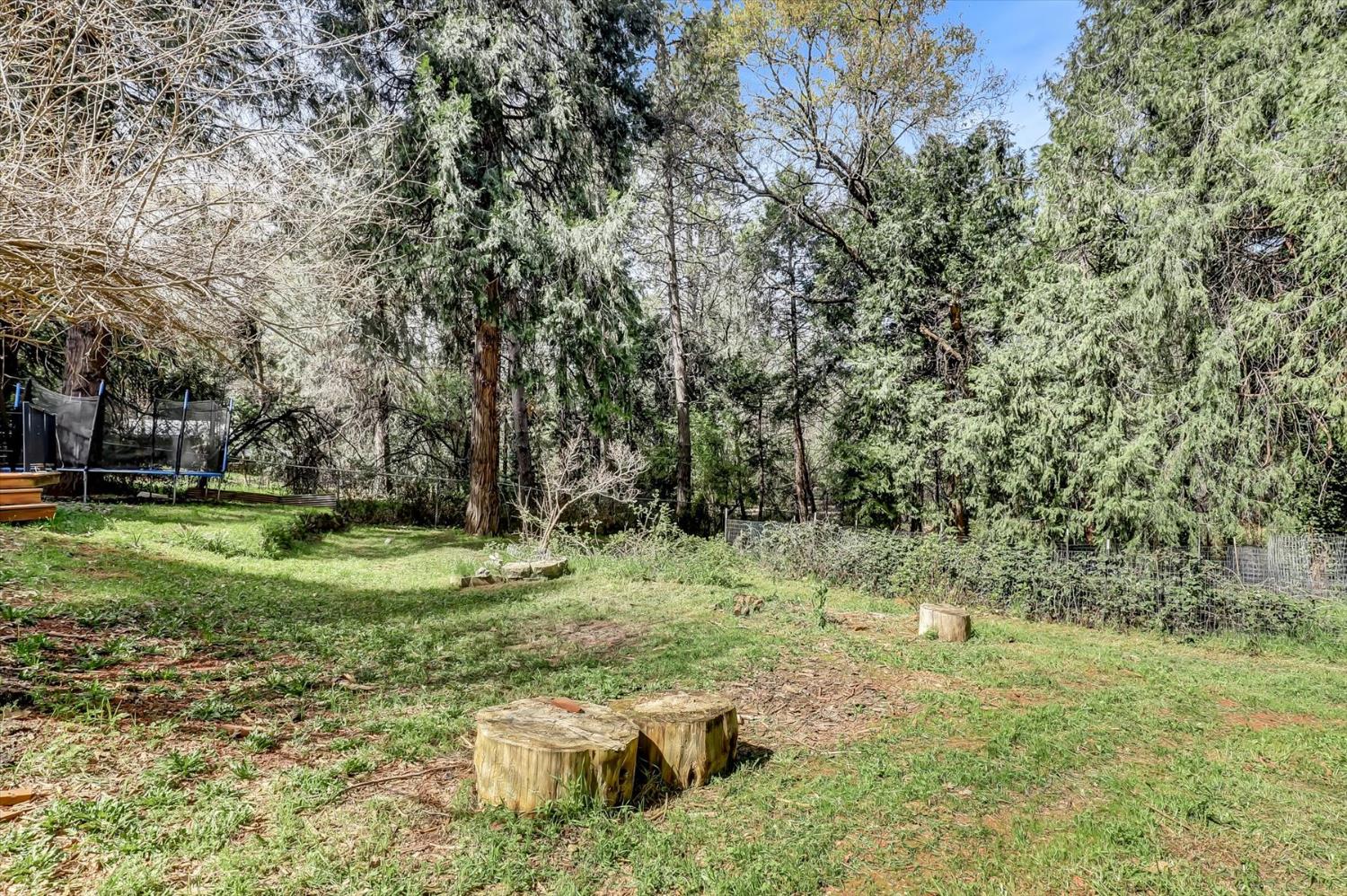 11312 Alpine Lane Grass Valley, CA 95945 - Photo 54 of 69