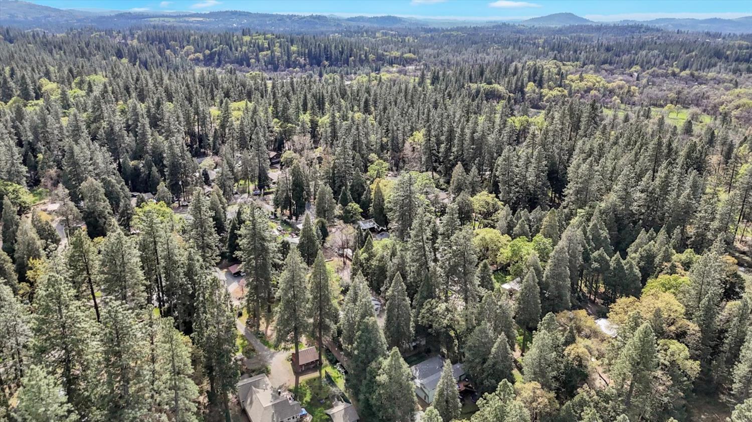 11312 Alpine Lane Grass Valley, CA 95945 - Photo 65 of 69 a view of a city with lush green forest
